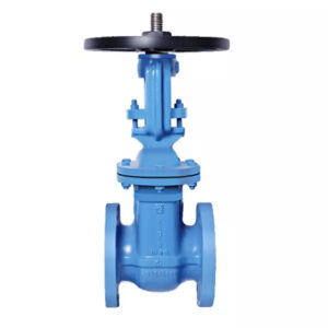 Gate Valve